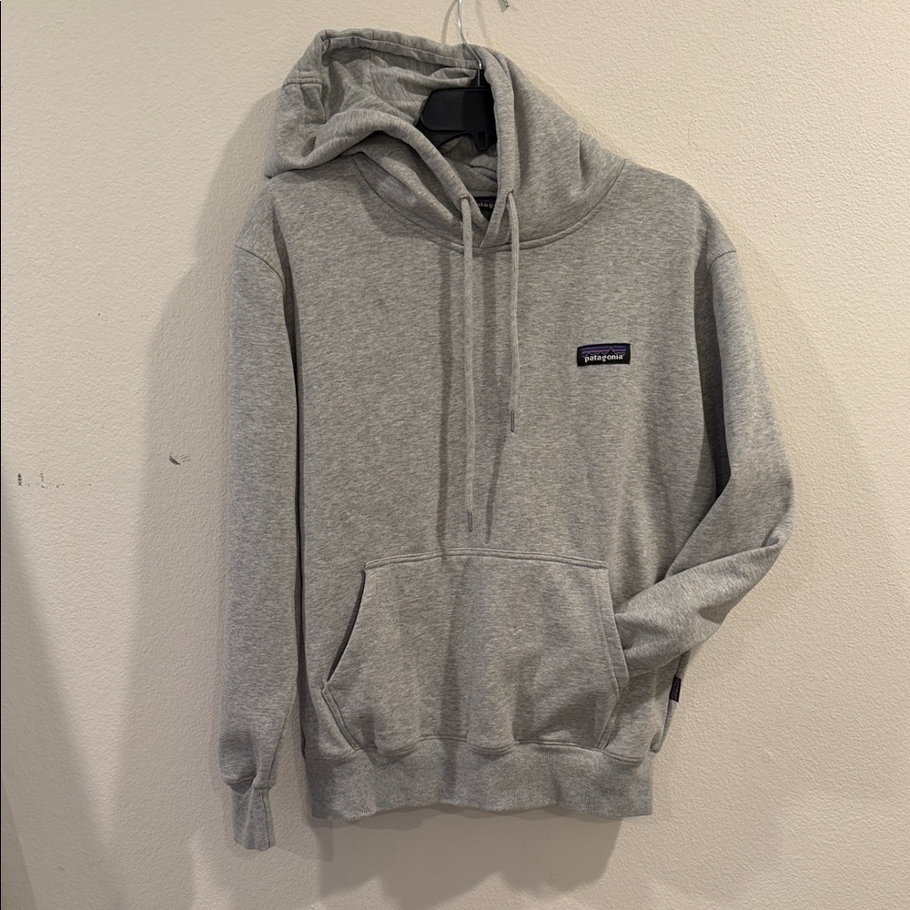 Patagonia Gray Hoodie